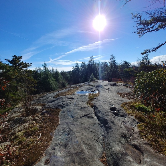 Meet your Posher, Shanna - Picture 1 of 1